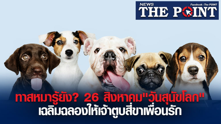 ทาสหมารู้ยัง? 26 สิงหาคม”วันสุนัขโลก”เฉลิมฉลองให้เจ้าตูบสี่ขาเพื่อนรัก