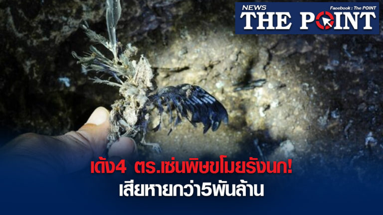 เด้ง4 ตร.เซ่นพิษขโมยรังนก!เสียหายกว่า5พันล้าน