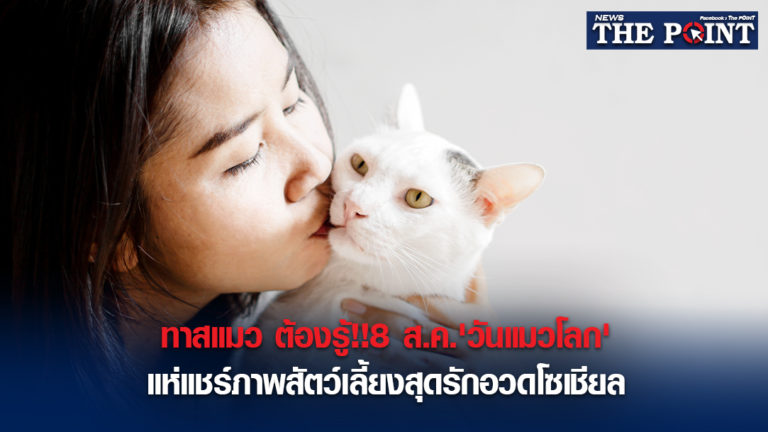 ทาสแมว ต้องรู้!!8 ส.ค.’วันแมวโลก’แห่แชร์ภาพสัตว์เลี้ยงสุดรักอวดโซเชียล