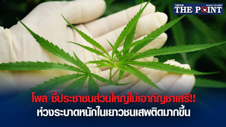โพล ชี้ประชาชนส่วนใหญ่ไม่เอากัญชาเสรี!!ห่วงระบาดหนักในเยาวชนเสพติดมากขึ้น