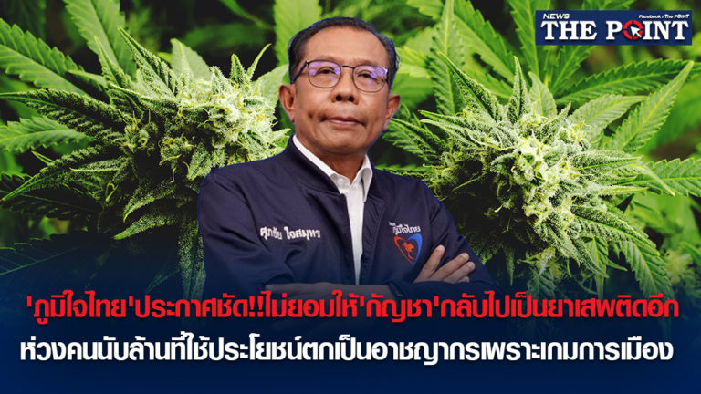‘ภูมิใจไทย’ประกาศชัด!!ไม่ยอมให้’กัญชา’กลับไปเป็นยาเสพติดอีก ห่วงคนนับล้านที่ใช้ประโยชน์ตกเป็นอาชญากรเพราะเกมการเมือง