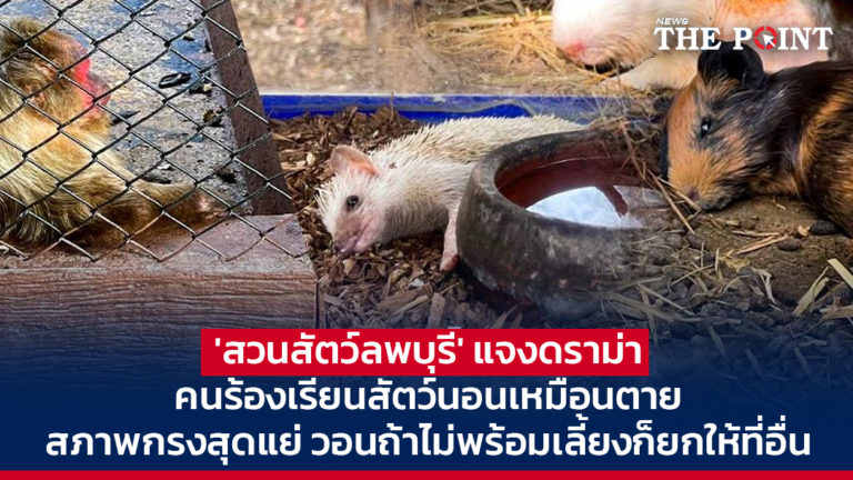 ‘สวนสัตว์ลพบุรี’ แจงดราม่า คนร้องเรียนสัตว์นอนเหมือนตาย สภาพกรงสุดแย่ วอนถ้าไม่พร้อมเลี้ยงก็ยกให้ที่อื่น