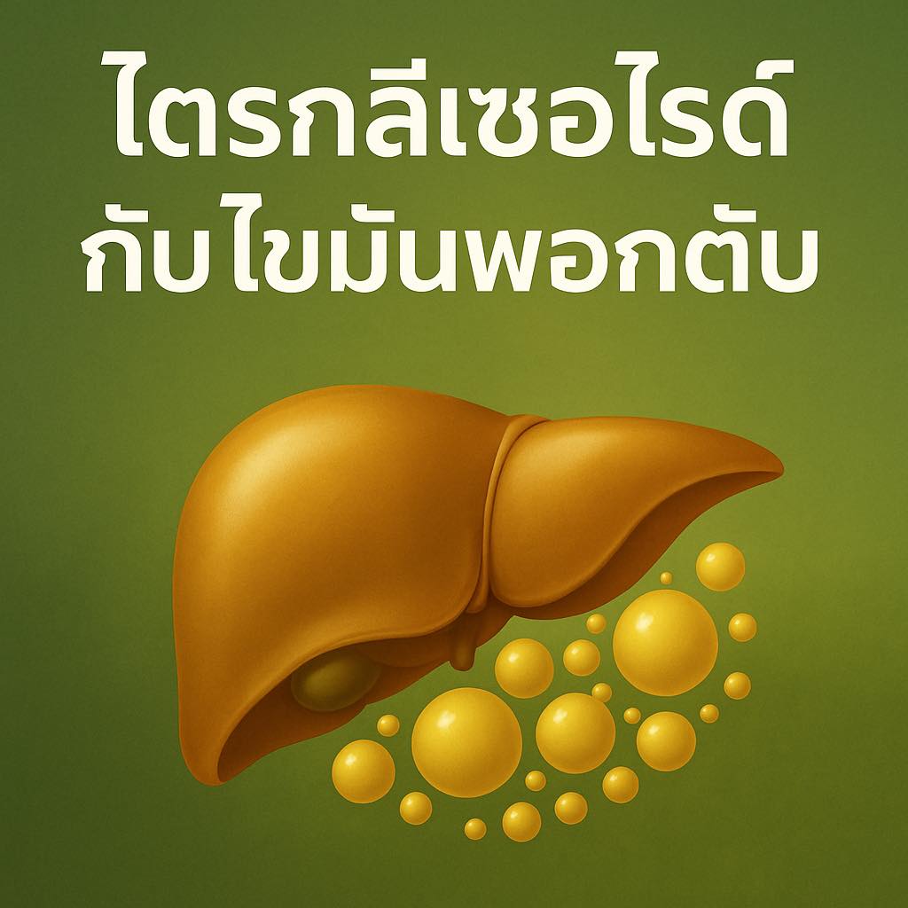 566282518_1481505820315953_1522481954219675172_n-1